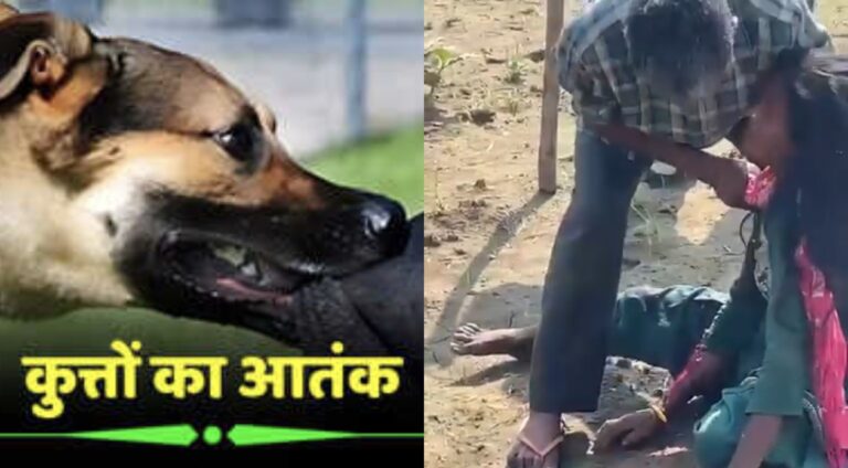 “पाड़ली गुज्जर में आवारा कुत्तों का कहर: दहशत में गांव, प्रशासन मौन”