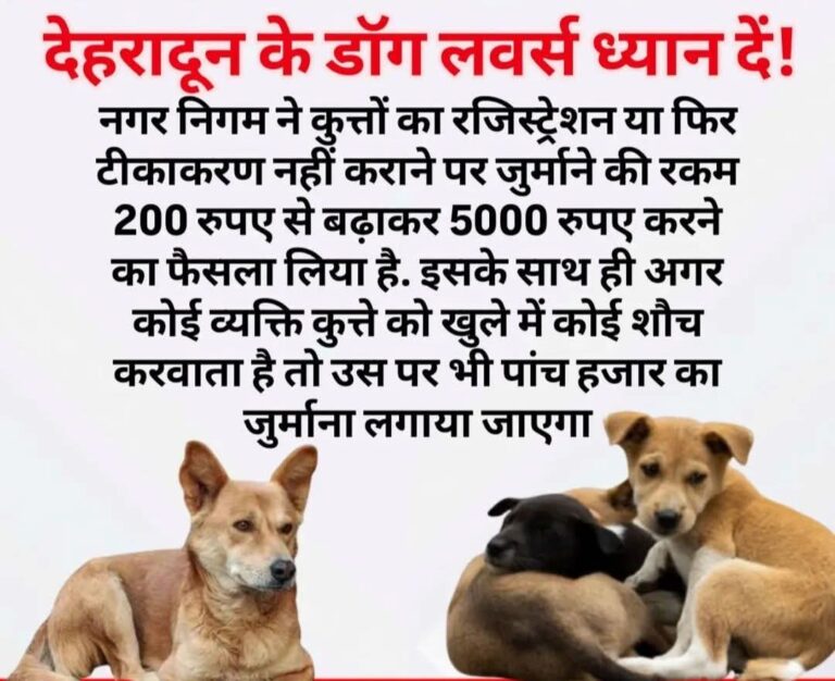 “पालतू कुत्तों पर नगर निगम का बड़ा डंडा: बिना रजिस्ट्रेशन-टीकाकरण और खुले में शौच पर लगेगा 5000 का तगड़ा जुर्माना”
