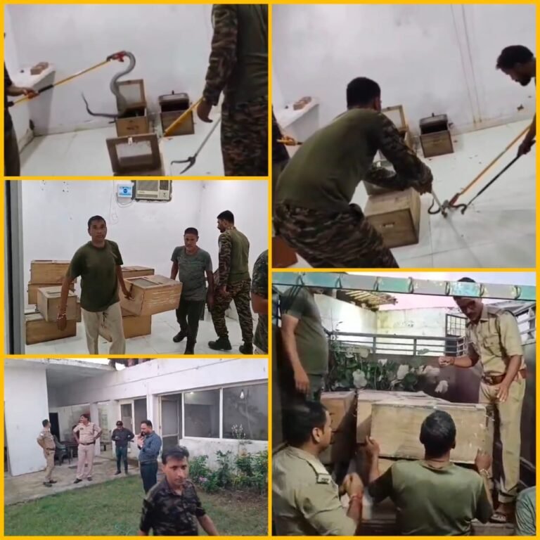 रुड़की के खंजरपुर में सांपों के ज़हर का काला कारोबार बेनक़ाब – गोदाम से 86 ज़हरीले सांपों की बरामदगी, जिनमें कोबरा और रसैल वाइपर भी शामिल, छापेमारी से पूरे क्षेत्र में मची सनसनी, अवैध तस्करी नेटवर्क पर कसा शिकंजा