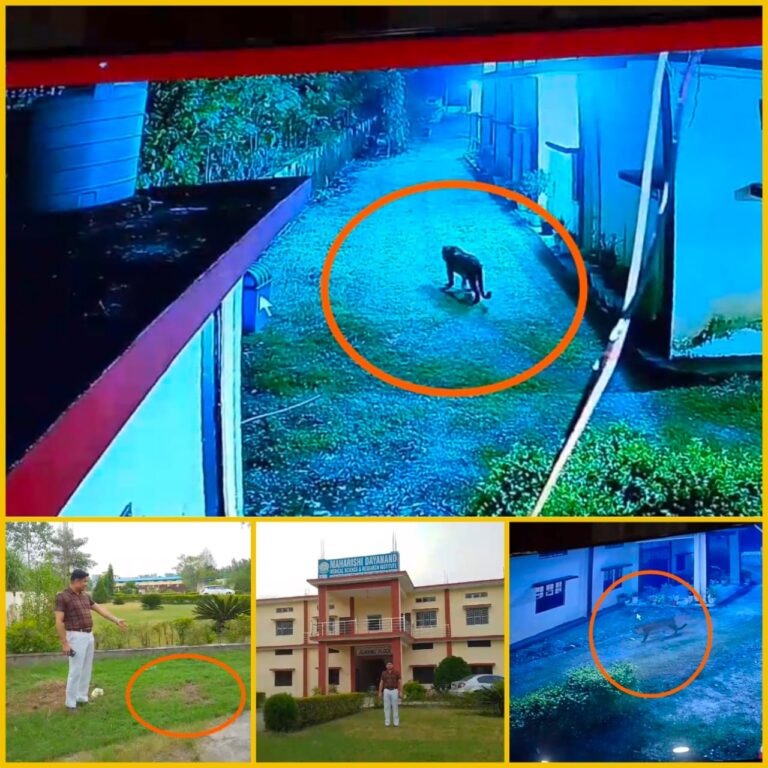 धनौरी में दहशत: महर्षि दयानंद मेडिकल कॉलेज के परिसर में घुसा गुलदार, सीसीटीवी में कैद हुई तस्वीरें, छात्र-छात्राओं और प्रबंधन में मचा हड़कंप