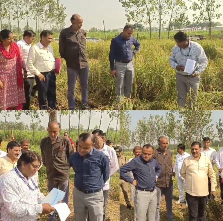 “हरिद्वार में धान की फसल का सटीक आंकलन: जिलाधिकारी और ग्राम प्रधान की पहल से किसानों की मेहनत का मिलेगा असली लाभ, MSP और सरकारी योजनाओं में बढ़ेगी पारदर्शिता!”