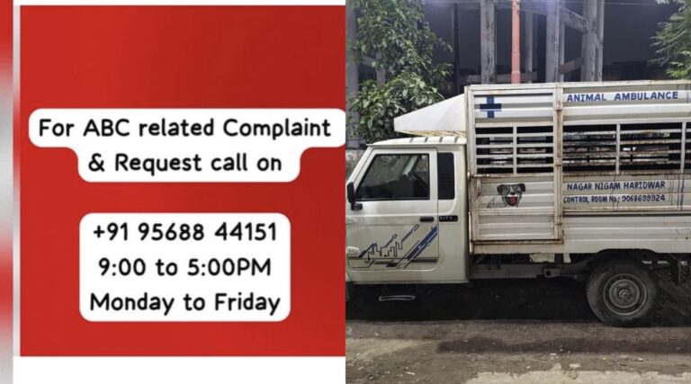 “कुत्तों की शिकायत अब झटपट हल — नगर निगम हरिद्वार ने शुरू की डॉग हेल्पलाइन, ABC से लेकर स्ट्रीट डॉग मैनेजमेंट तक मिलेगा त्वरित समाधान”
