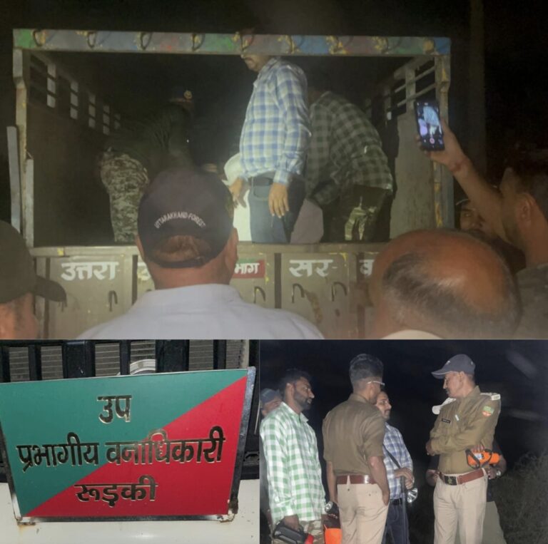 “15 फीट गहरे कुएं में गिरा गुलदार, भौंरी गांव में मचा हड़कंप — घंटों की जद्दोजहद के बाद वन विभाग ने किया रोमांचक रेस्क्यू, ट्रेंकुलाइज कर सुरक्षित निकाला बाहर”