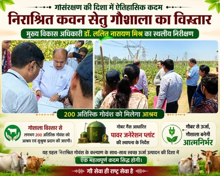 “गौसेवा का बड़ा अभियान: CDO डॉ. ललित नारायण मिश्र का एक्शन प्लान, रुड़की गौशाला में 200 और गोवंश को मिलेगा नया आश्रय!”