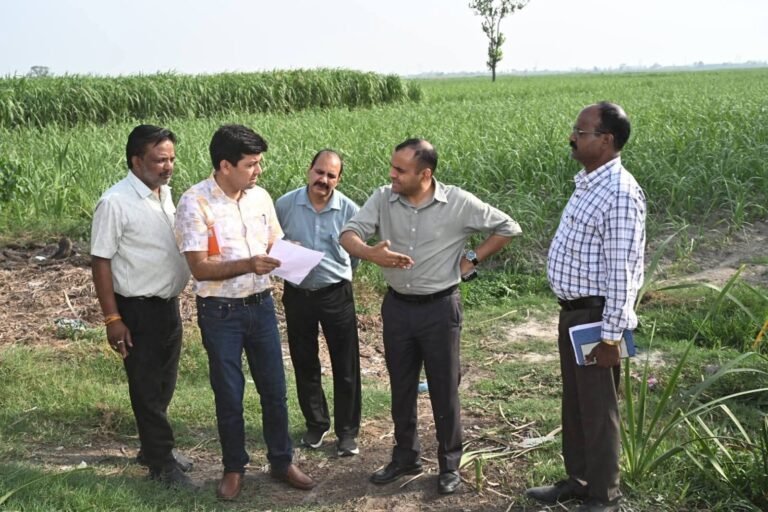“गंगदासपुर पर मंडराते बाढ़ के खतरे को लेकर अलर्ट मोड में प्रशासन, डीएम मयूर दीक्षित ने किया जमीनी निरीक्षण, मानसून से पहले जलभराव रोकने के लिए दिए सख्त निर्देश”