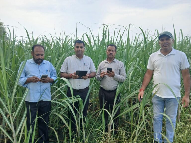 “खेतों में पहुंचे ज्येष्ठ गन्ना विकास निरीक्षक, विभागीय योजनाओं का लिया जायजा, किसानों को दिए उन्नत खेती के अहम गुर”