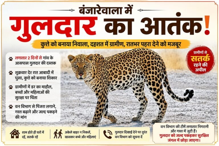 BIG BREAKING:बंजारेवाला में गुलदार का आतंक! रात के अंधेरे में आबादी में घुसा, कुत्ते को बनाया निवाला—दहशत में ग्रामीण, रातभर पहरेदारी को मजबूर