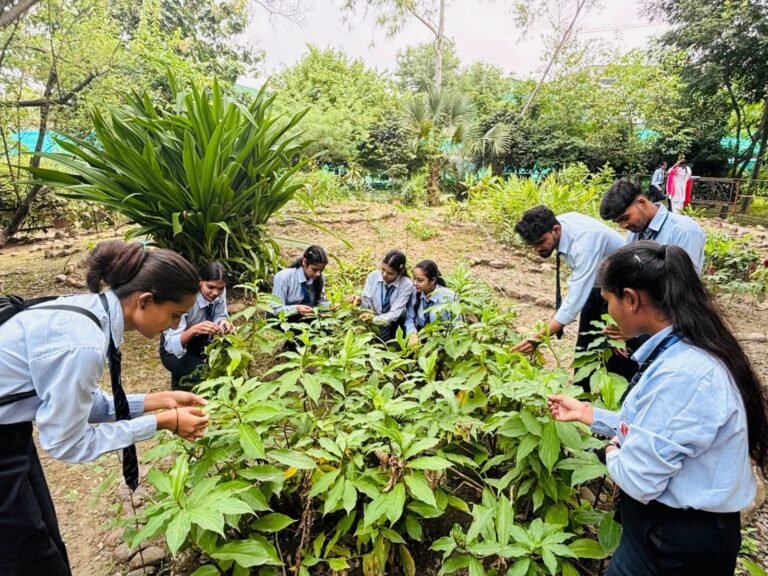 BIG BREAKING:: पतंजलि हर्बल गार्डन में खुली ज्ञान की नई राह, राजकमल कॉलेज के छात्रों ने जाना औषधीय पौधों और हर्बल रिसर्च का विज्ञान