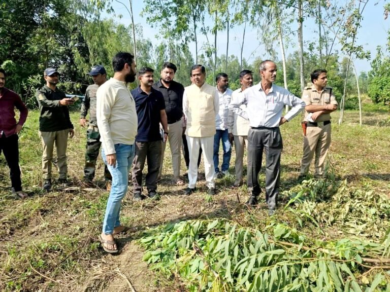 BIG BREAKING:: हाथियों के आतंक से फसलें बर्बाद, विधायक आदेश चौहान ने किया निरीक्षण, किसानों को मुआवजा और सुरक्षा के दिए सख्त निर्देश